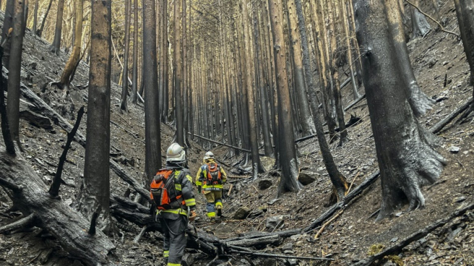 Feux de forêt au Japon: la pluie freine la propagation de l'incendie 