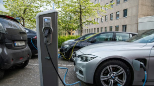 En Norvège, 89% des voitures neuves vendues en 2024 étaient électriques