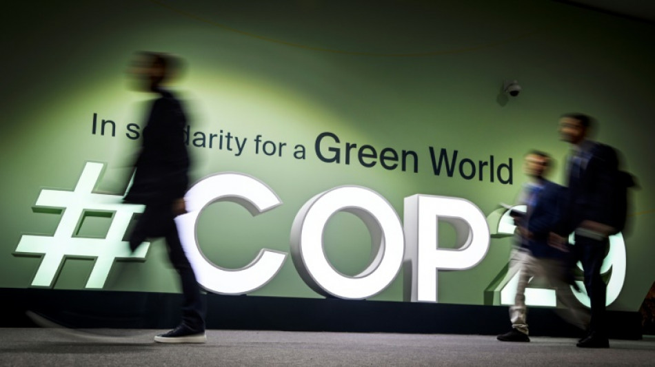 Lame-duck US climate team vows to be 'effective' at COP29