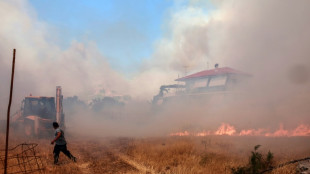 Waldbrand in griechischem Nationalpark Dadia noch immer nicht unter Kontrolle