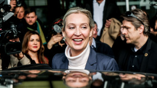 Weidel, 'Musk mi ha chiamato e si è complimentato'