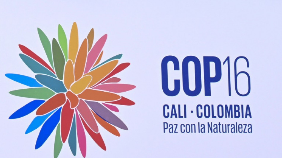 UN biodiversity summit opens under guerrilla threat in Colombia