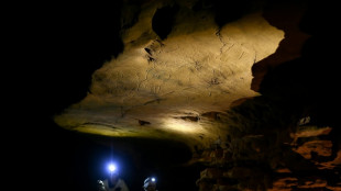 Rarely seen cave art holds prehistoric secrets in France