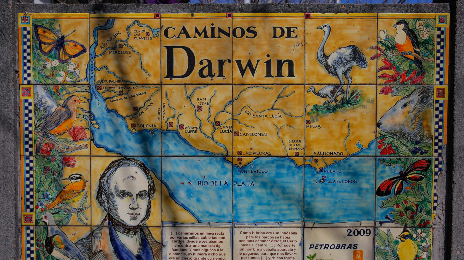 Torna il Darwin Day, festa della teoria dell'evoluzione