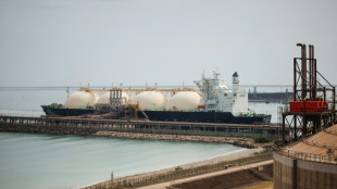 Studie: Importe von russischem LNG nach Frankreich um 81 Prozent gestiegen