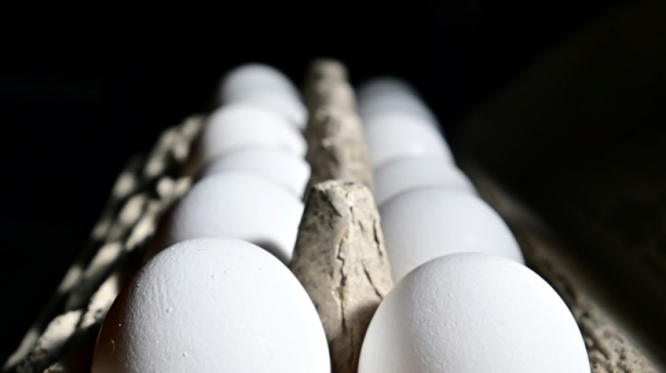 United States imports eggs from Korea, Turkey to help ease prices