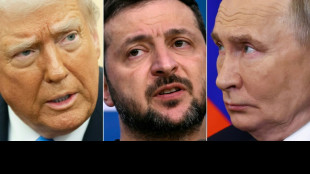 Trump e Putin concordam em negociar "imediatamente" paz na Ucrânia