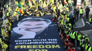 Des milliers de personnes à Strasbourg pour la libération d'Abdullah Öcalan