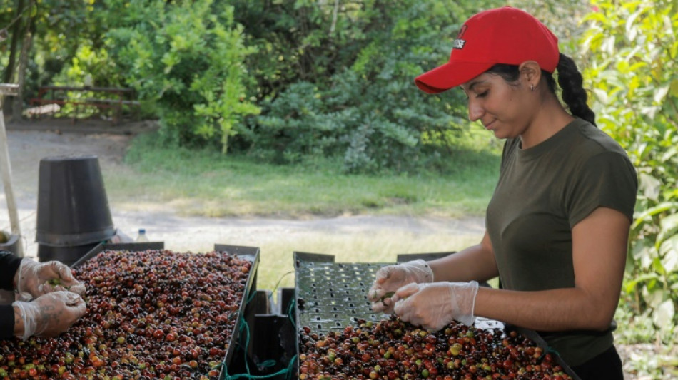 The global forces sending coffee prices skyward