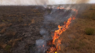 Lo que se sabe sobre la ola de incendios que asola Brasil