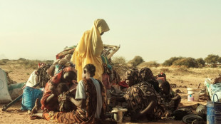 Survivors recount horrific RSF attack on famine-hit Sudan camp