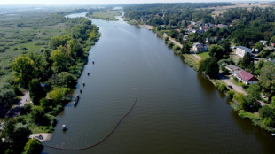 Greenpeace slams Poland's new river protection law